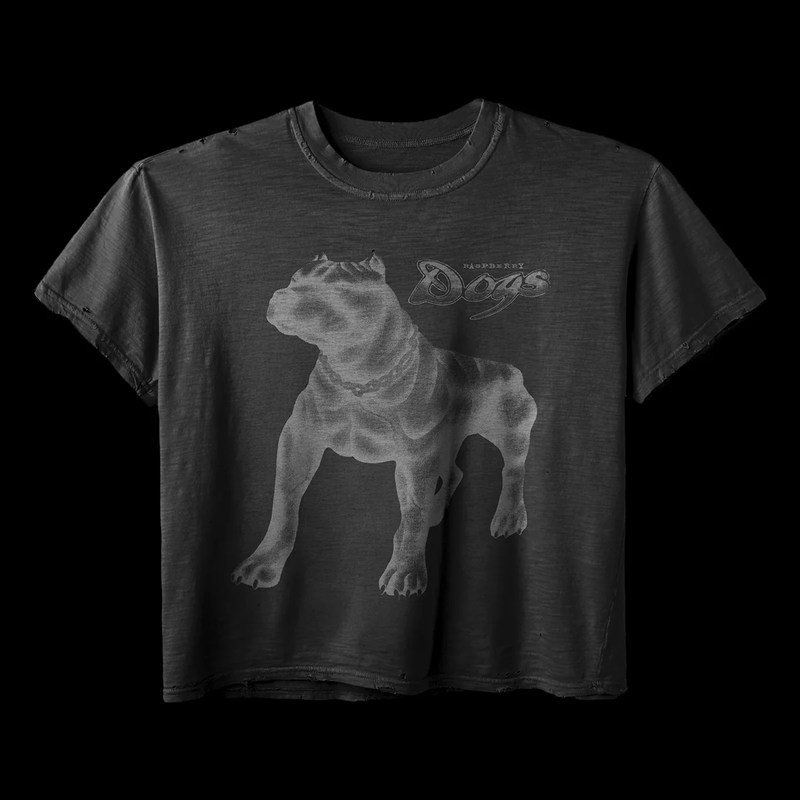 GV Gallery Dog Tee