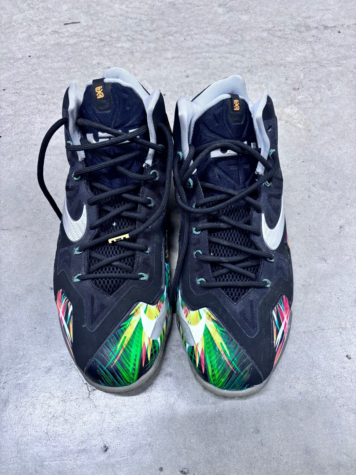 Nike LeBron 11 EverGlades
