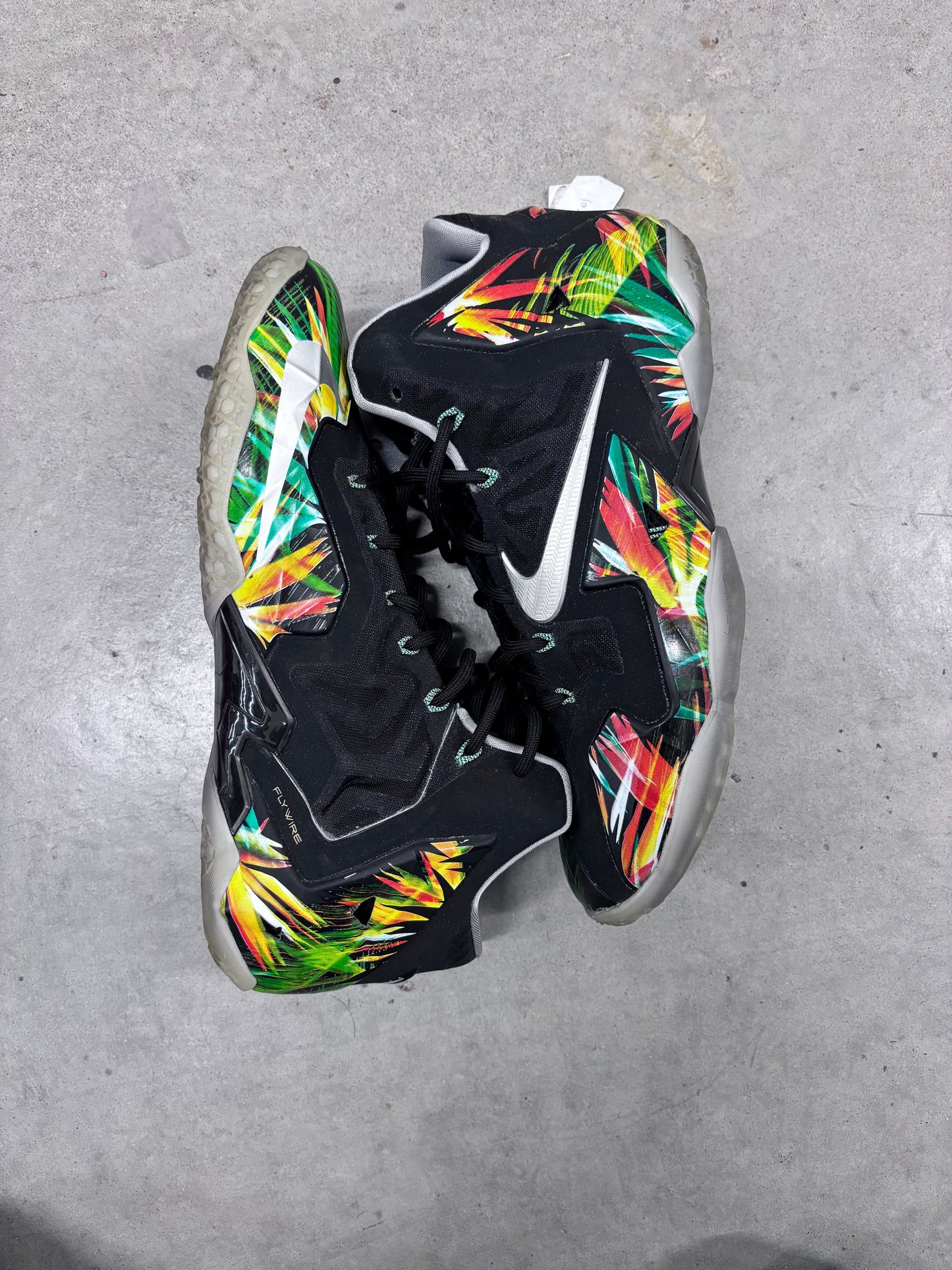 Nike LeBron 11 EverGlades