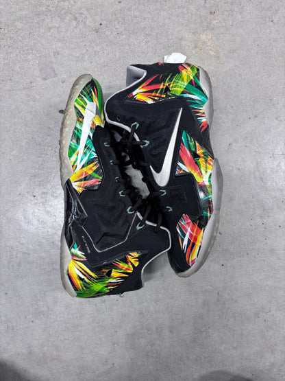 Nike LeBron 11 EverGlades