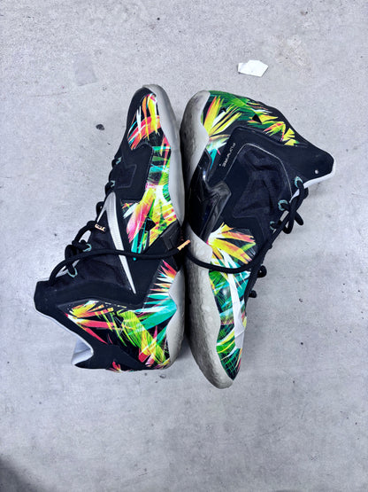 Nike LeBron 11 EverGlades