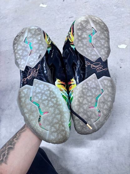 Nike LeBron 11 EverGlades