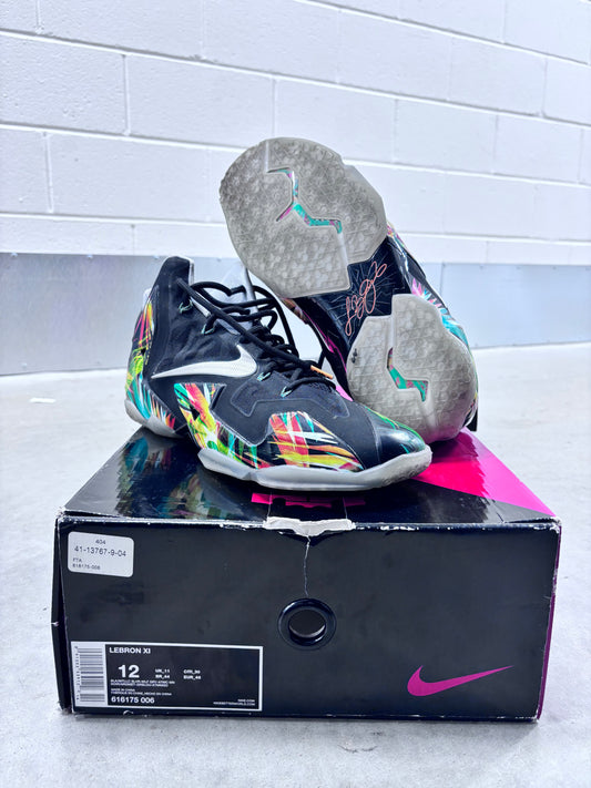 Nike LeBron 11 EverGlades