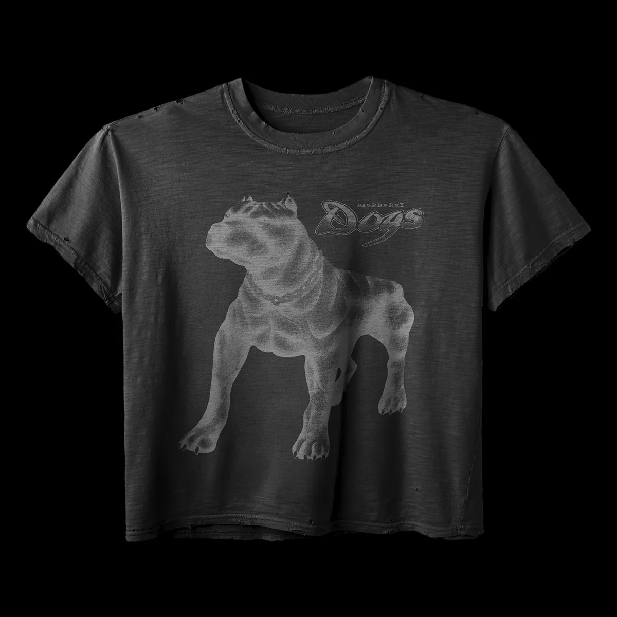 GV Gallery Dog Tee